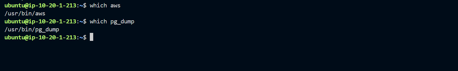 Screenshot: which aws and which pg_dump both returning valid paths